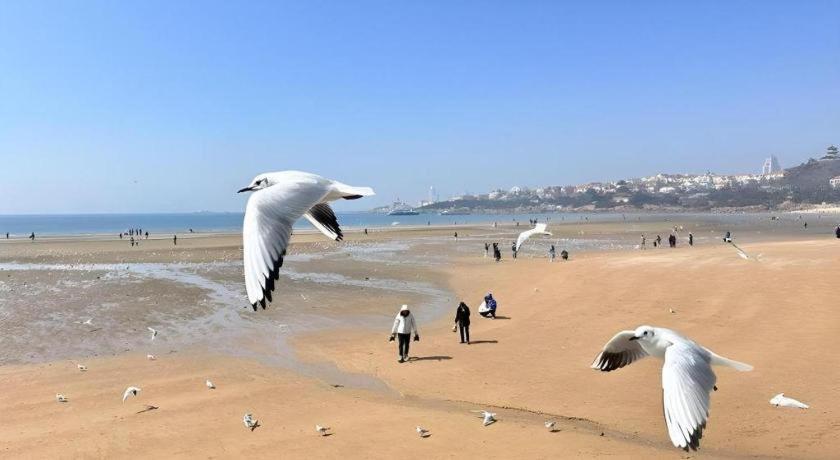 Grand Madison Qingdao Harbour-View Central（Former Qingdao Farglory Hotel） מראה חיצוני תמונה